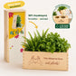 BloomsBox 'You deserve plants' - M - duurzaam bloem- & plantcadeau | Blooms out of the Box