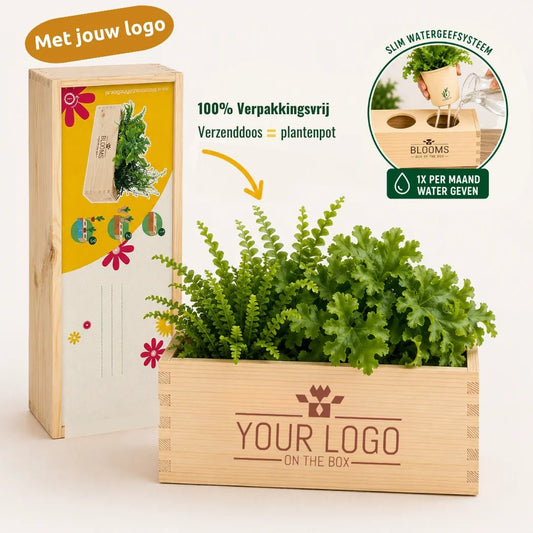 BloomsBox 'your design' - M - duurzaam bloem- & plantcadeau | Blooms out of the Box