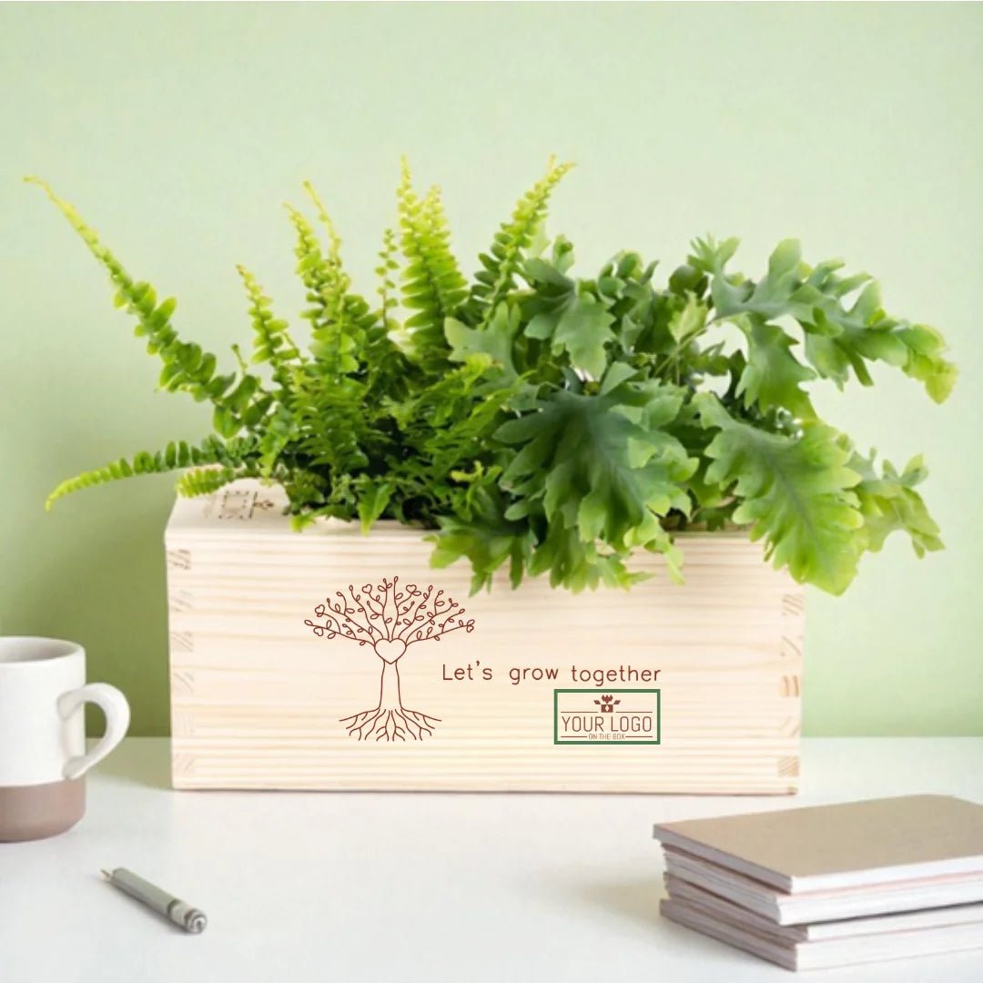 BloomsBox 'your WELKOM design' - M - duurzaam bloem- & plantcadeau | Blooms out of the Box