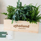 Ervaar zelf: kerst relatiegeschenk met jouw logo! - Blooms out of the Box