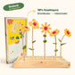 Happy Blooms 'Bedankt' - Blooms out of the Box