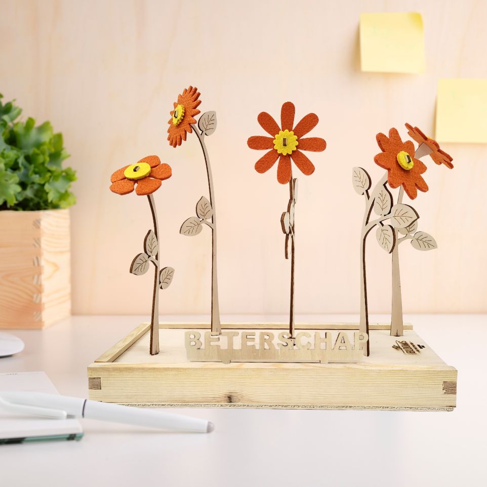 Happy Blooms 'Beterschap' - Blooms out of the Box