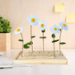 Happy Blooms 'Dat verdient een bloemetje' - Blooms out of the Box
