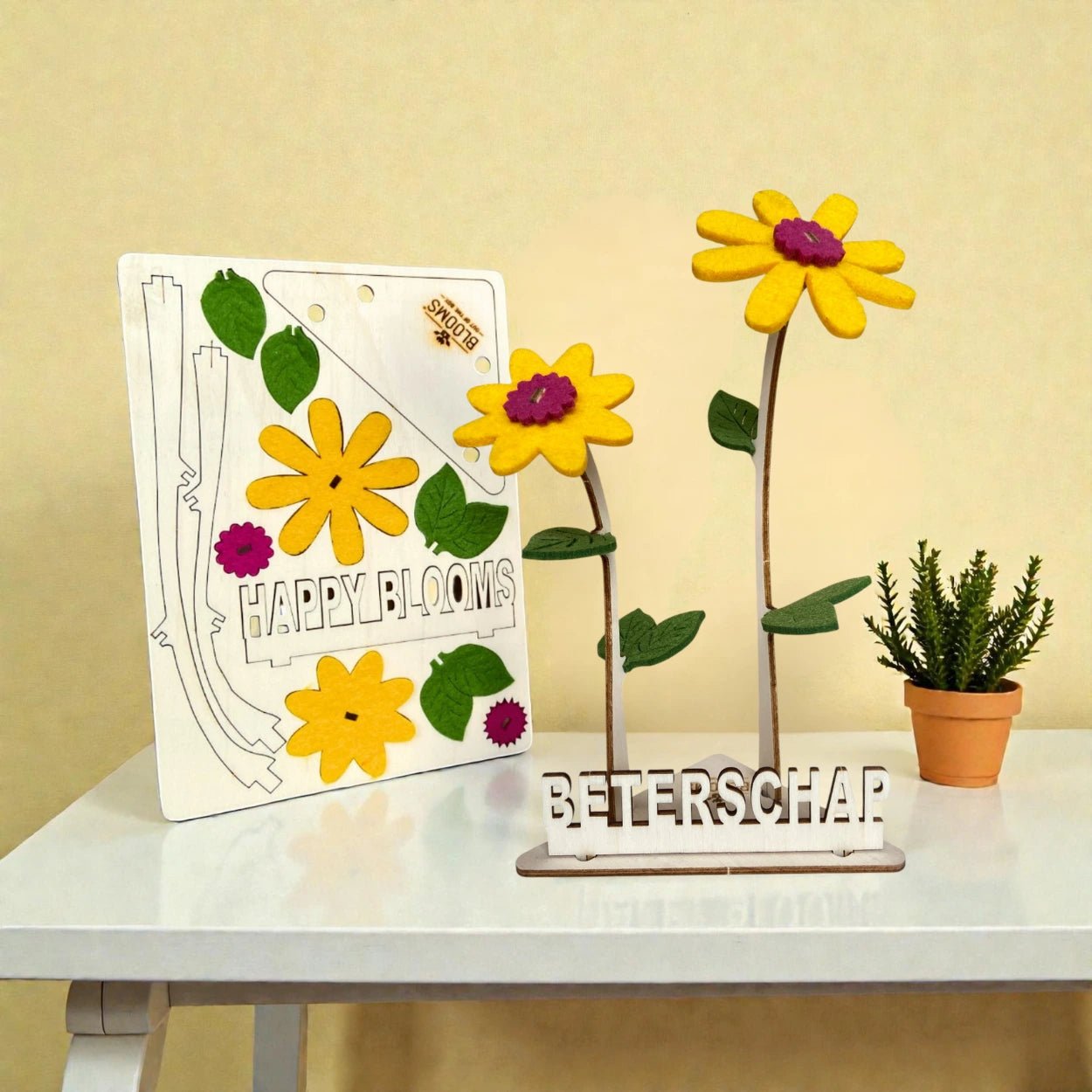 Happy Blooms - Duo 'Beterschap' - duurzaam bloem- & plantcadeau | Blooms out of the Box