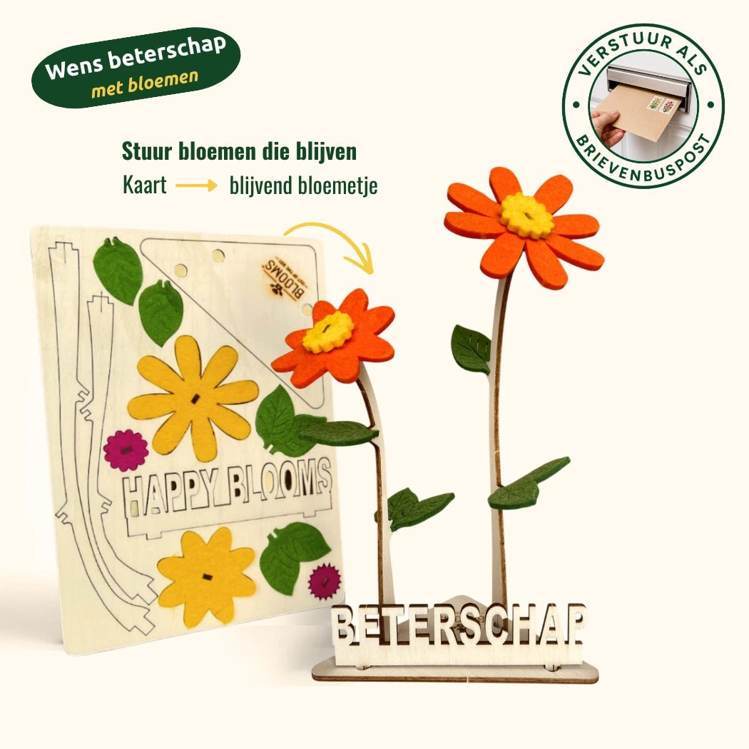 Happy Blooms - Duo 'Beterschap' - duurzaam bloem- & plantcadeau | Blooms out of the Box