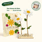 Happy Blooms - Duo 'Hart onder de riem' - duurzaam bloem- & plantcadeau | Blooms out of the Box