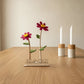Happy Blooms - Duo 'Hart onder de riem' - duurzaam bloem- & plantcadeau | Blooms out of the Box