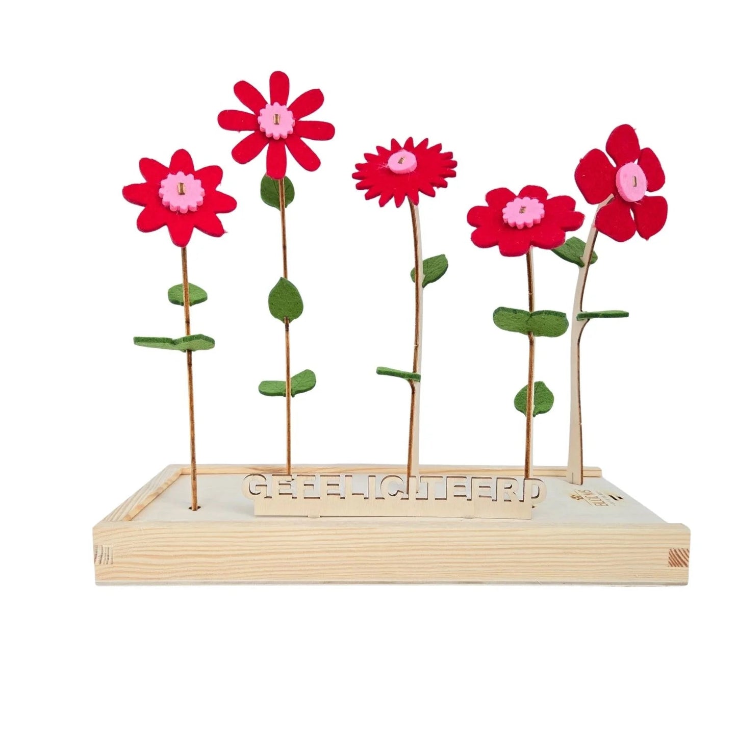 Happy Blooms 'Gefeliciteerd' - Blooms out of the Box