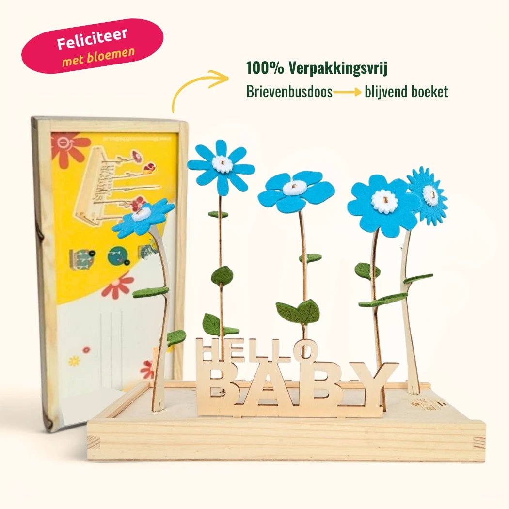 Happy Blooms 'Hello Baby' - duurzaam bloem- & plantcadeau | Blooms out of the Box