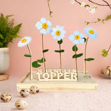 Happy Blooms 'Je bent een topper' - duurzaam bloem- & plantcadeau | Blooms out of the Box