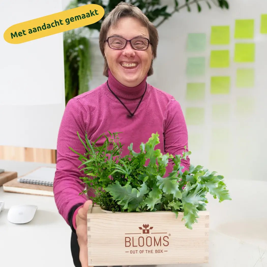 Happy Herbals - Citrus Spritz 'your logo' - duurzaam bloem- & plantcadeau | Blooms out of the Box