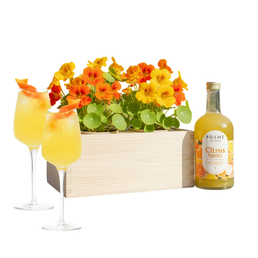 Happy Herbals - Citrus Spritz - Blooms out of the Box