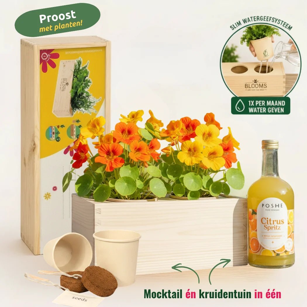 Happy Herbals - Citrus Spritz - Blooms out of the Box