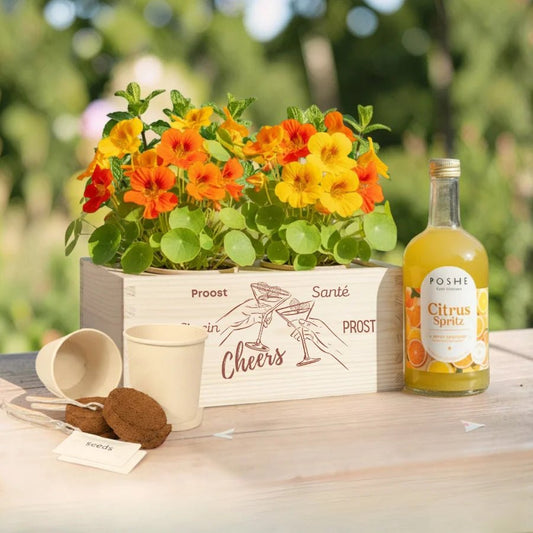 Happy Herbals - Citrus Spritz - duurzaam bloem- & plantcadeau | Blooms out of the Box