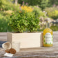 Happy Herbals - Mojito - duurzaam bloem- & plantcadeau | Blooms out of the Box