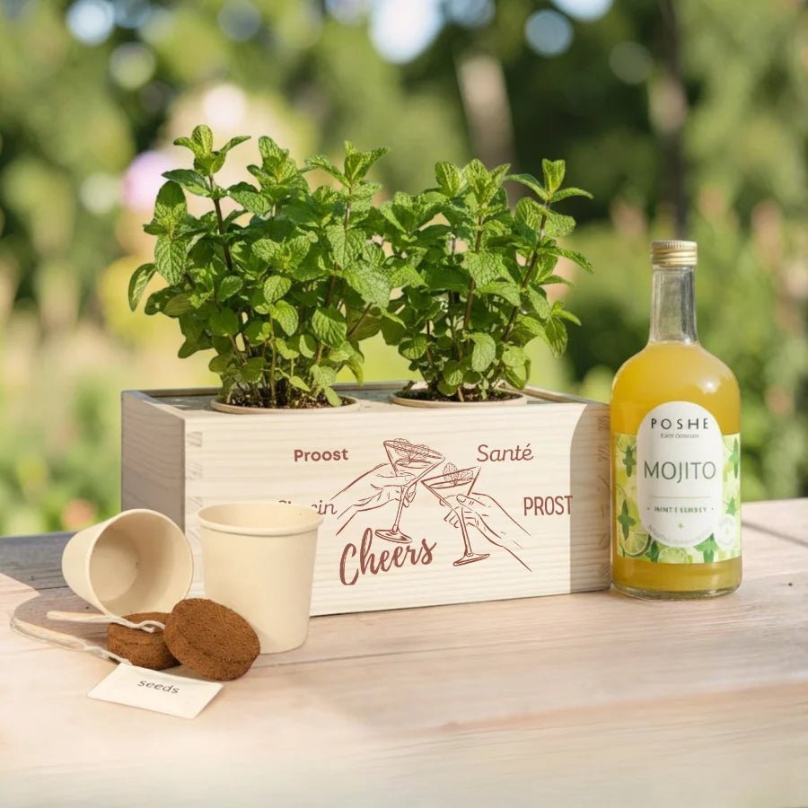 Happy Herbals - Mojito - Blooms out of the Box