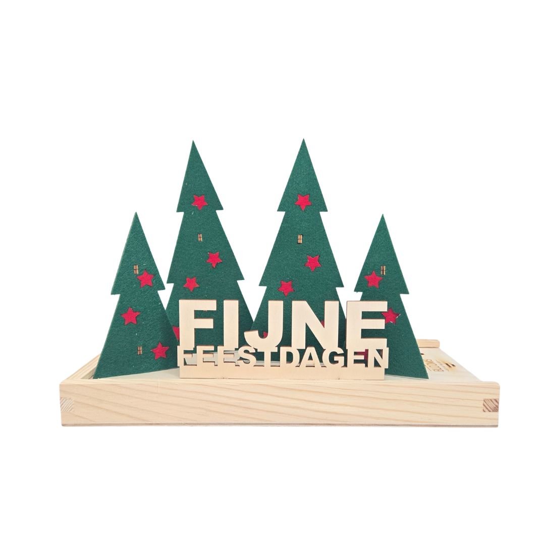 Happy Xmas | brievenbus kerst - duurzaam bloem- & plantcadeau | Blooms out of the Box