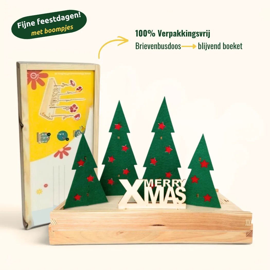 Happy Xmas 'Fijne feestdagen' - duurzaam bloem- & plantcadeau | Blooms out of the Box