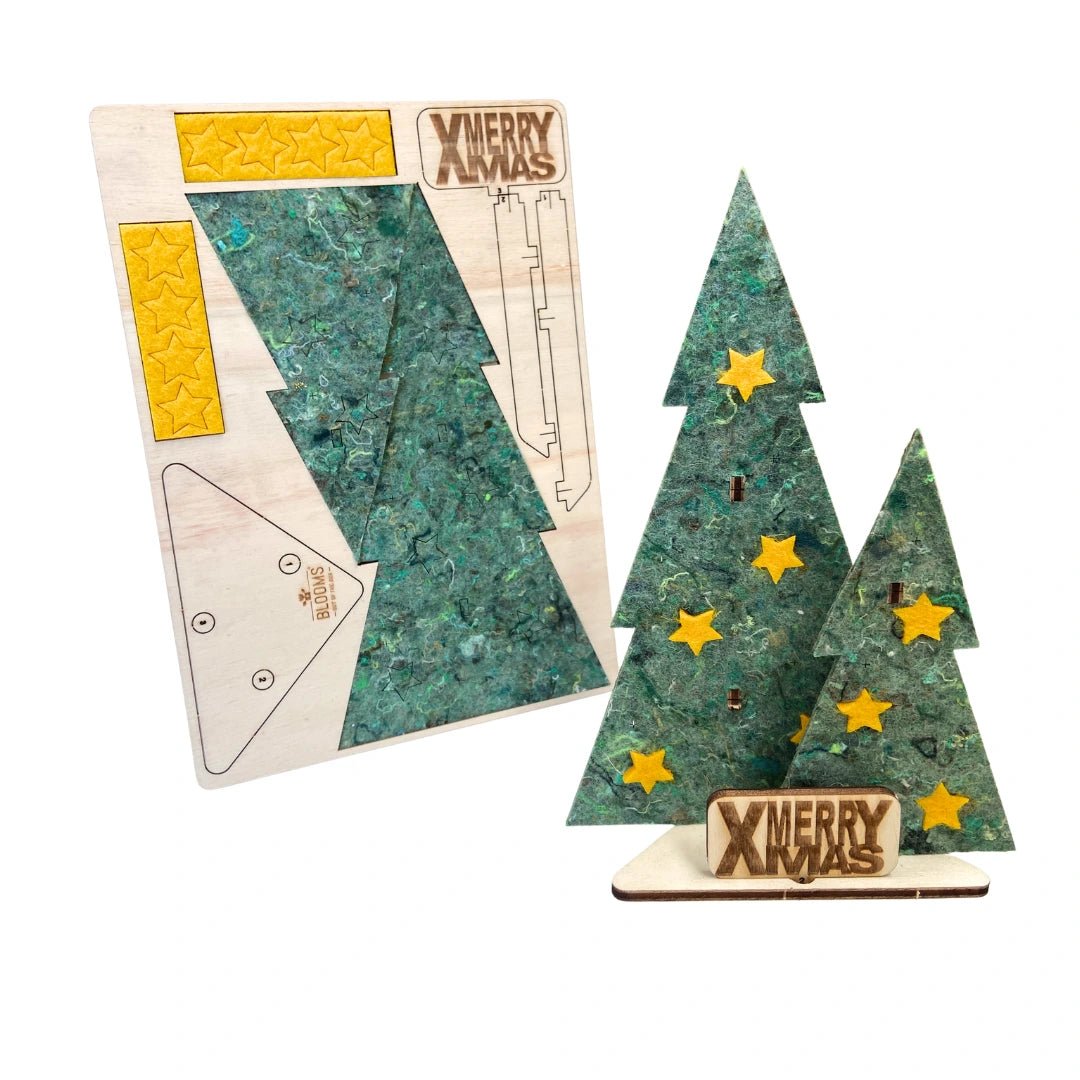 Kerstpost - Duo (8 stk) - duurzaam bloem- & plantcadeau | Blooms out of the Box