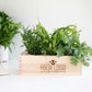 Nature out of the Box - L (vanaf 10) - duurzaam bloem- & plantcadeau | Blooms out of the Box