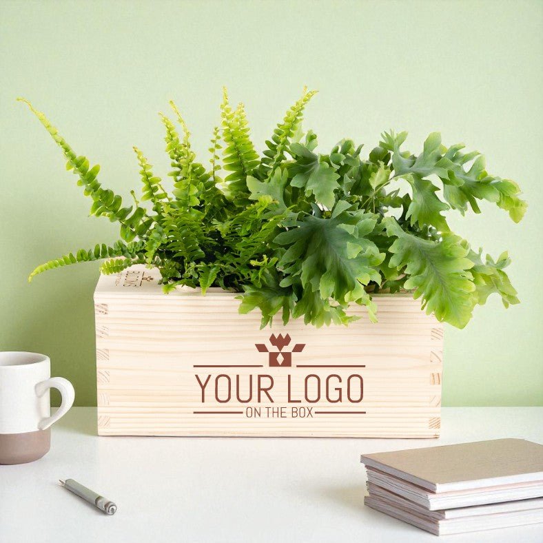 Nature out of the Box - M (vanaf 10) - duurzaam bloem- & plantcadeau | Blooms out of the Box