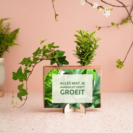 Nature out of the Box - Mini (vanaf 10) - Blooms out of the Box