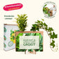 Nature out of the Box - Mini - Blooms out of the Box