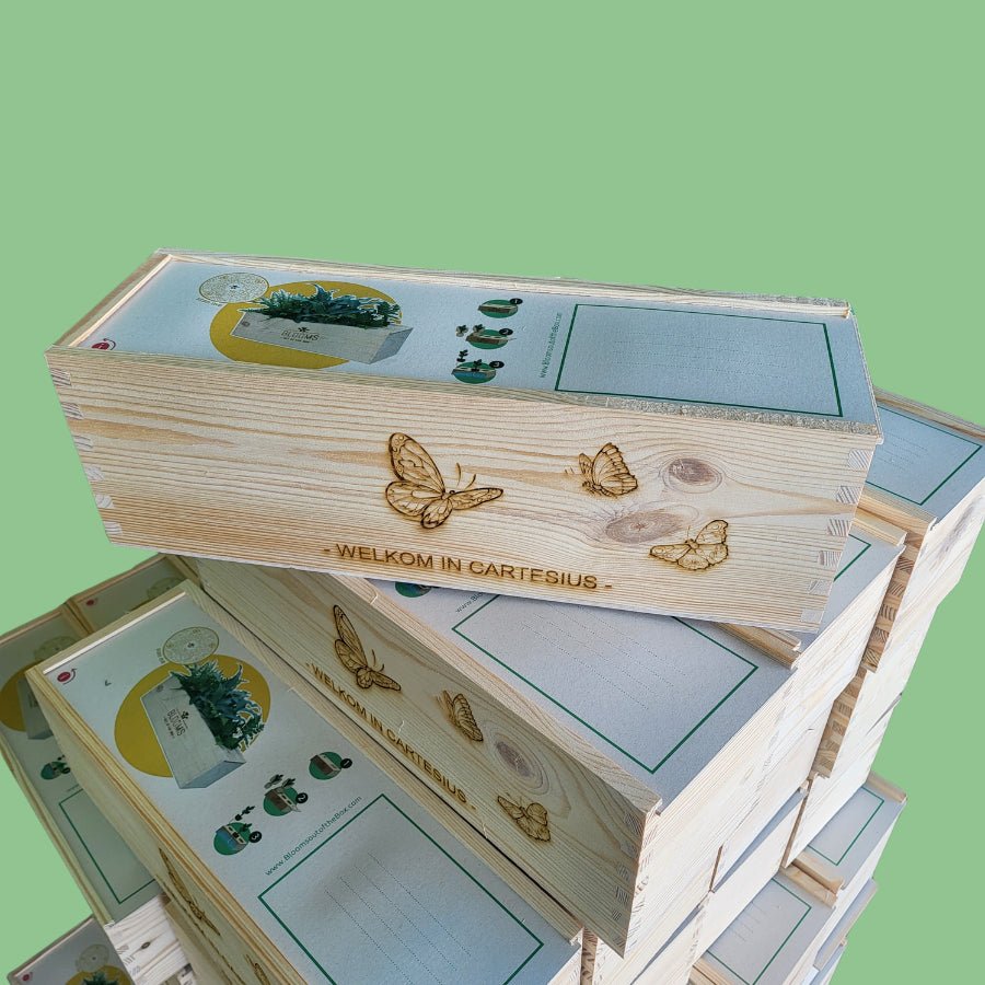 Nature out of the Box 'your design' - L - Blooms out of the Box