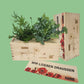 Nature out of the Box 'your design' - M - Blooms out of the Box