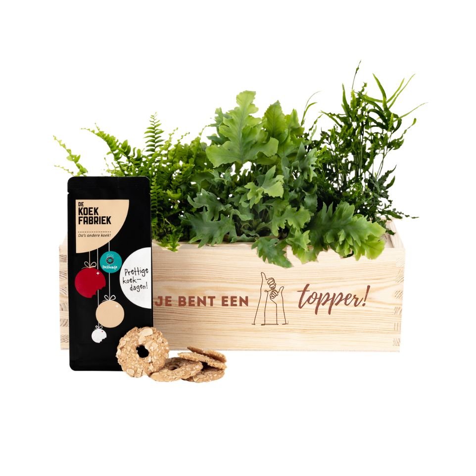 Nature 'Tasty break' - L - Blooms out of the Box