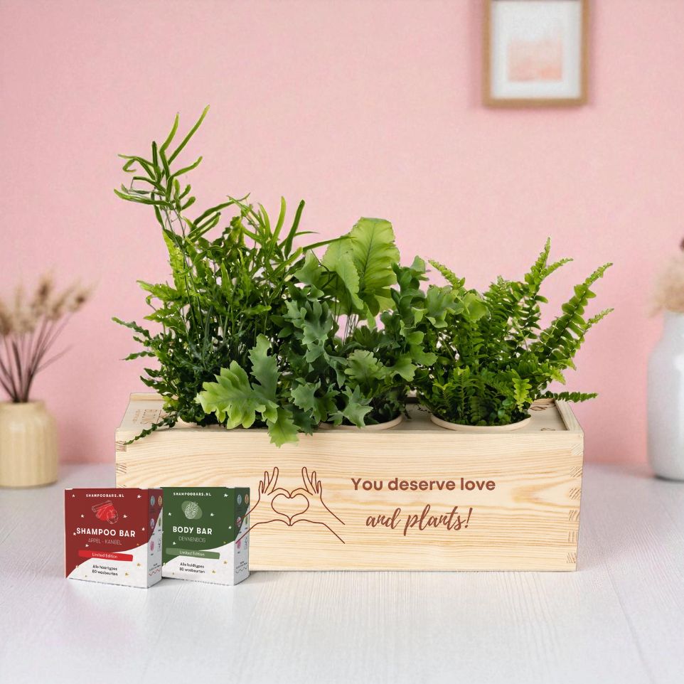 Nature 'Winter Wellness' - L - Blooms out of the Box