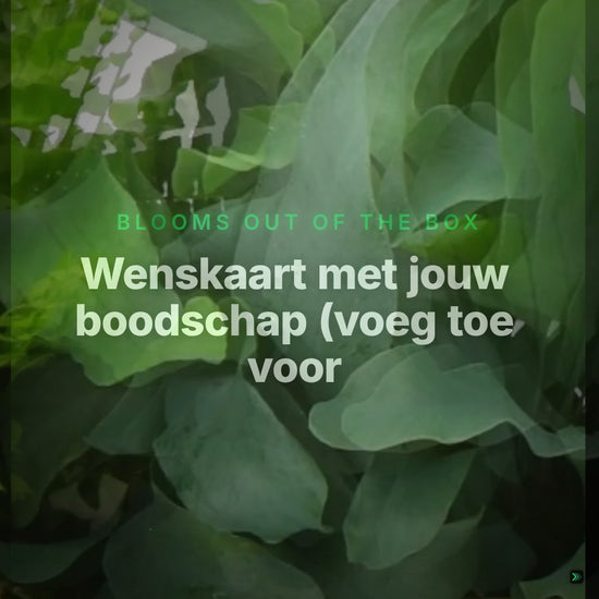 Wenskaart met jouw boodschap (voeg toe voor elke Box waarin je een kaart wilt) – Clean Showcase
