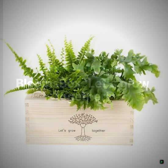 BloomsBox 'Let's grow together' - M – Clean Showcase