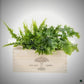 BloomsBox 'Let's grow together' - M – Clean Showcase
