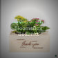 BloomsBox 'Bedankt' - M – Clean Showcase