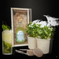 Happy Herbals  - Mojito – Clean Showcase