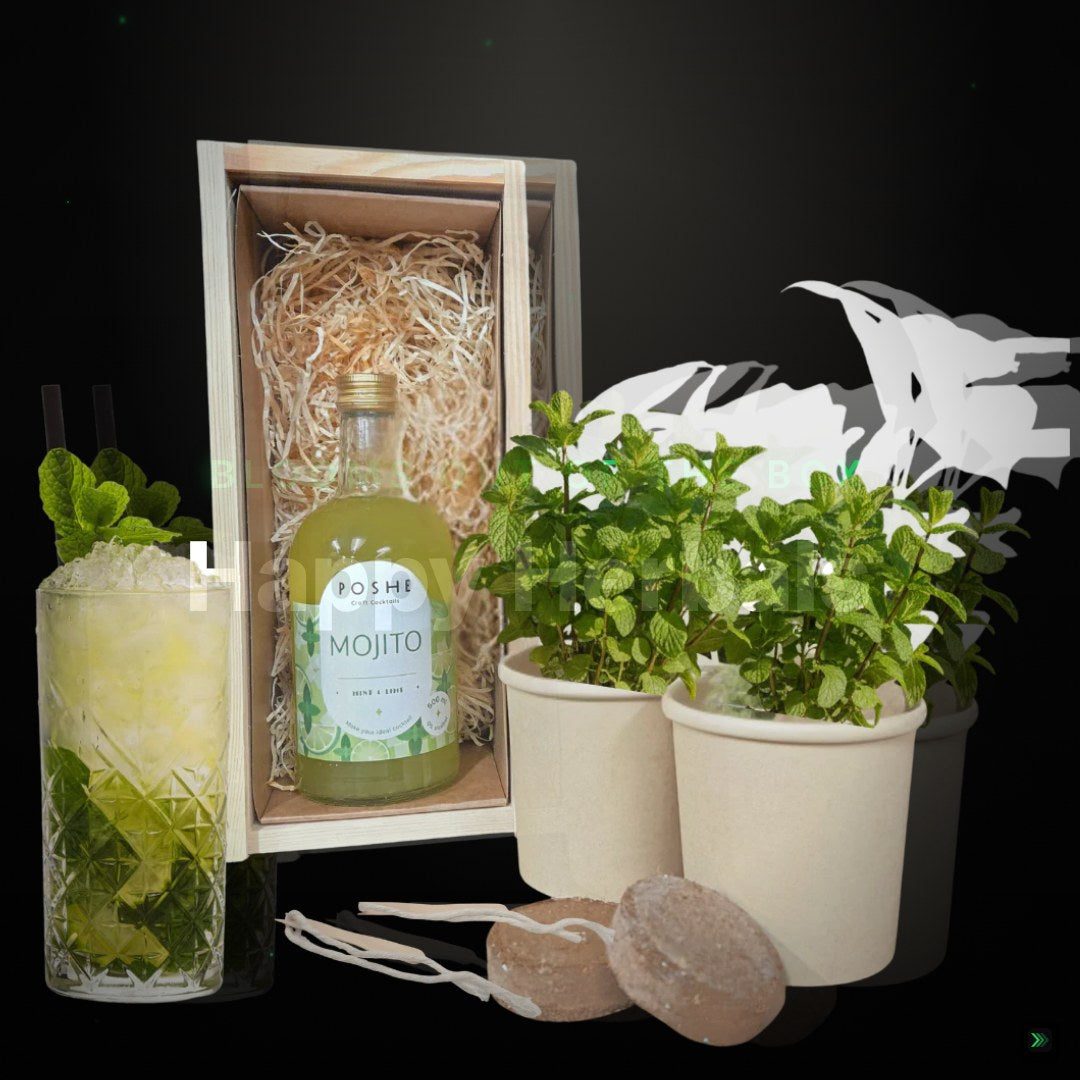 Happy Herbals  - Mojito – Clean Showcase