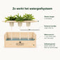Xmas 'Forest fresh' - L (vanaf 10) - duurzaam bloem- & plantcadeau | Blooms out of the Box