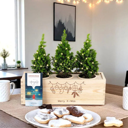 Xmas 'Guilty pleasure' -L (vanaf 10) - duurzaam bloem- & plantcadeau | Blooms out of the Box