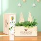 XMas out of the Box - M (vanaf 10) - duurzaam bloem- & plantcadeau | Blooms out of the Box