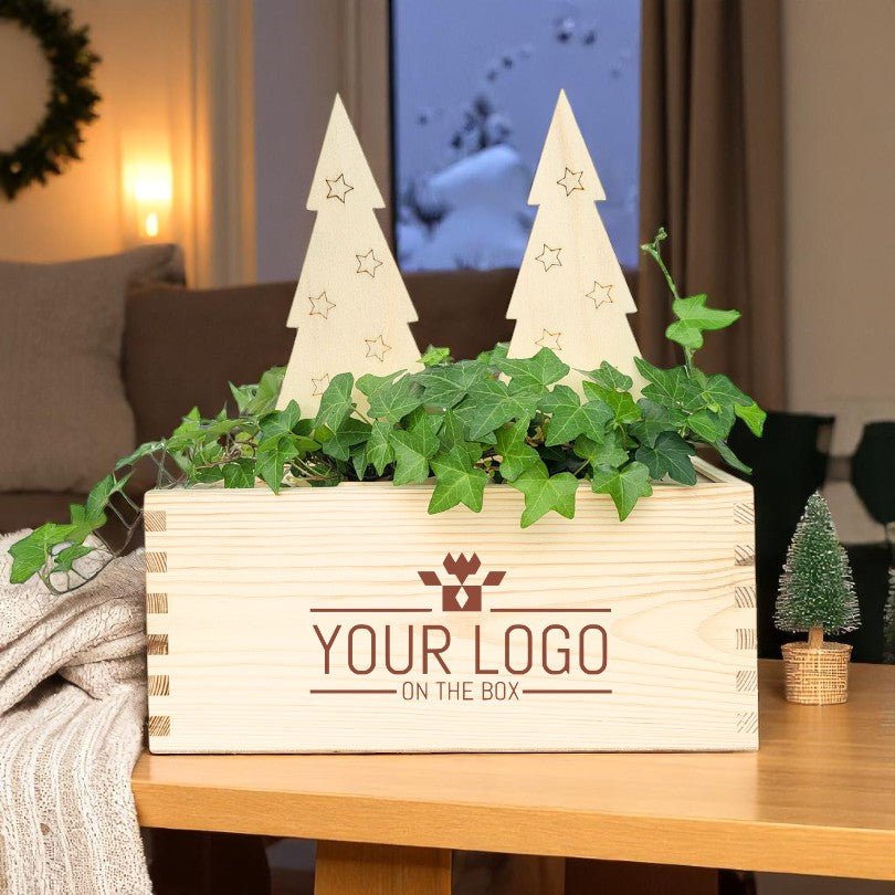 XMas out of the Box - M (vanaf 10) - duurzaam bloem- & plantcadeau | Blooms out of the Box