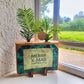 Xmas out of the Box - Mini (vanaf 10) - duurzaam bloem- & plantcadeau | Blooms out of the Box