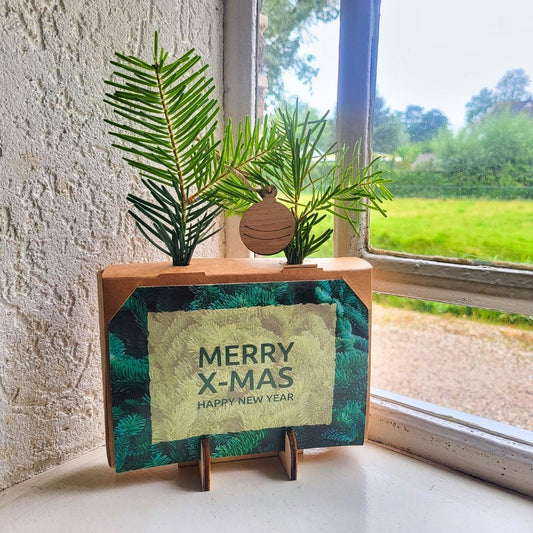 Xmas out of the Box - Mini (vanaf 10) - duurzaam bloem- & plantcadeau | Blooms out of the Box