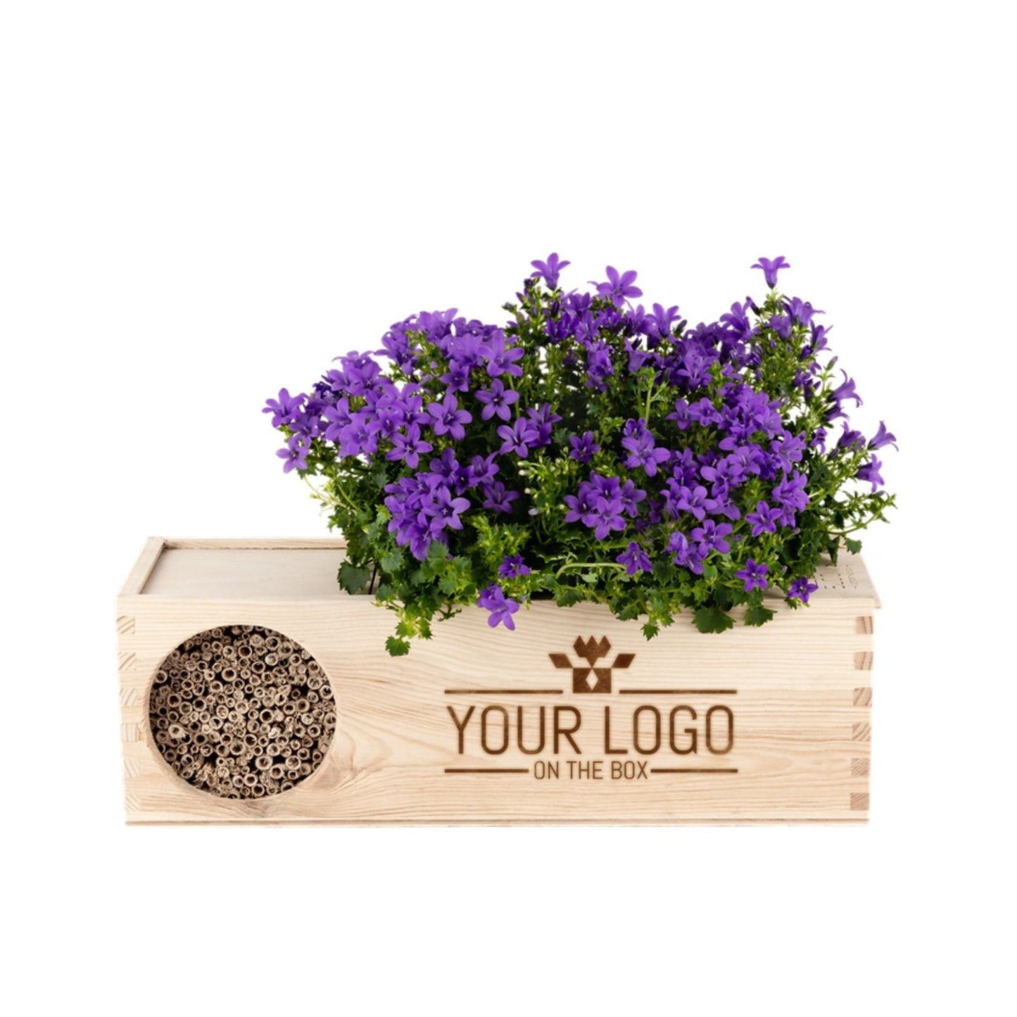 Blooms & Bees out of the Box - L - Branded - Bloomsoutofthebox