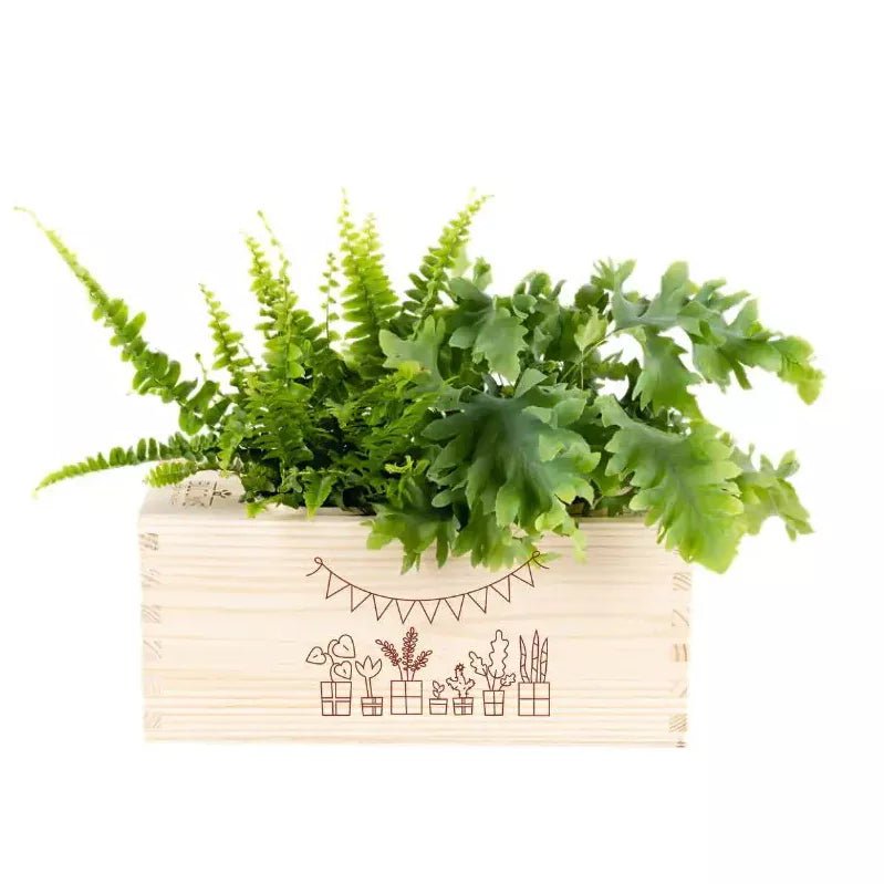 BloomsBox 'Gefeliciteerd' - M - Blooms out of the Box