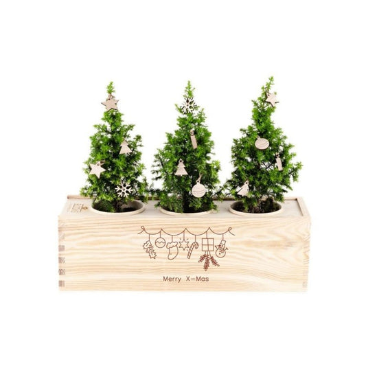 BloomsBox 'Merry Xmas' - Decoration - L - Blooms out of the Box
