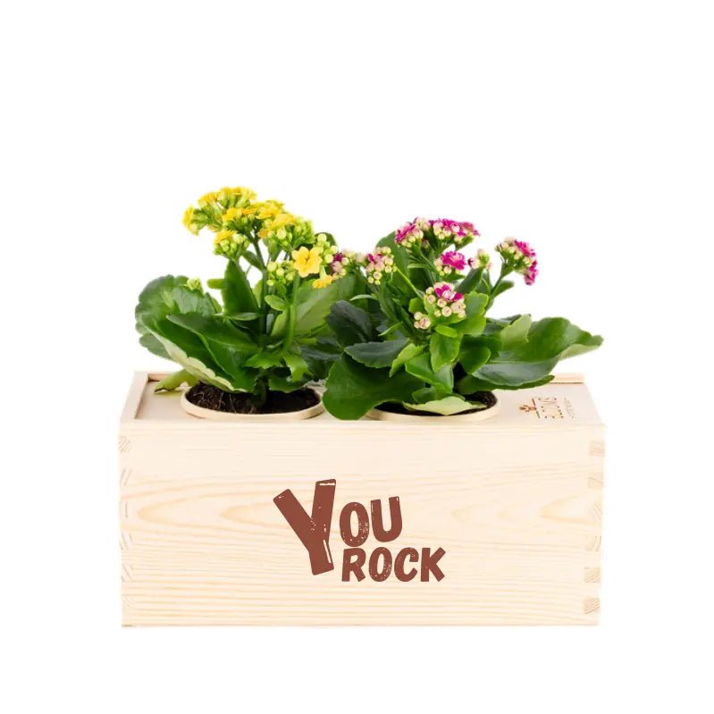 BloomsBox 'You rock' - M - Blooms out of the Box