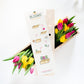Colours out of the Box - L - Branded - Blooms out of the Box