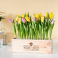 Colours out of the Box - L - Branded - Blooms out of the Box