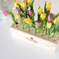 Colours out of the Box - L - Branded - Blooms out of the Box